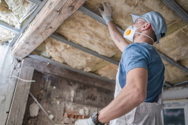 Best Cellulose Insulation  in Clute, TX