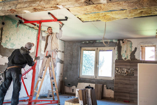 Best Spray Foam Insulation  in Clute, TX