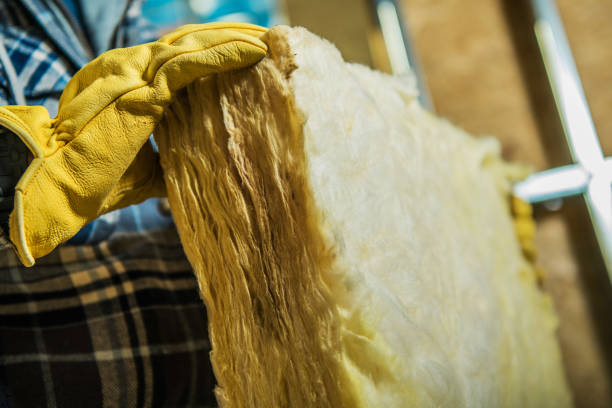 Best Insulation Replacement Services  in Clute, TX