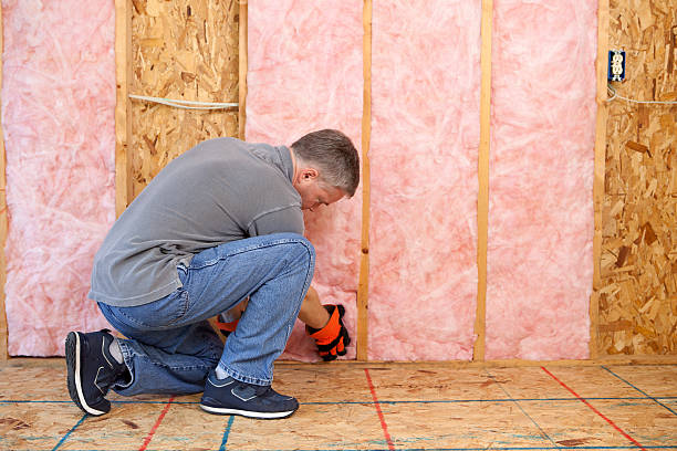 Best Wall Insulation Contractor  in Clute, TX