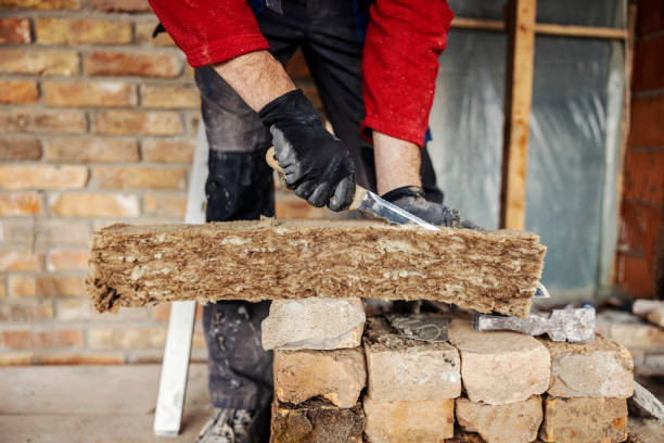 Best Local Insulation Services  in Clute, TX